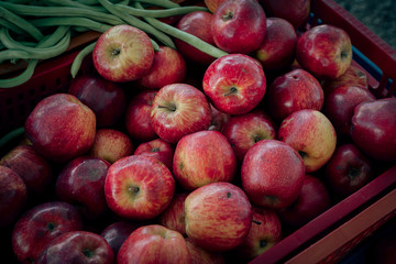 apple fruit market