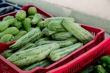 cucumber vegetable green market