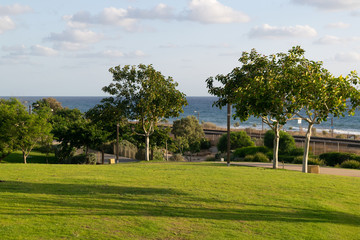 Obraz premium Haifa park