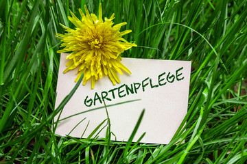 Gartenpflege