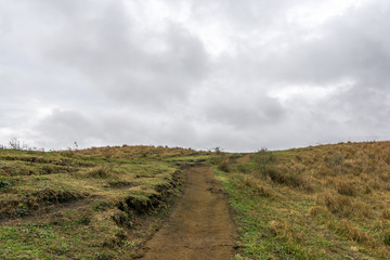 Yongnuni Oreum hike pathway