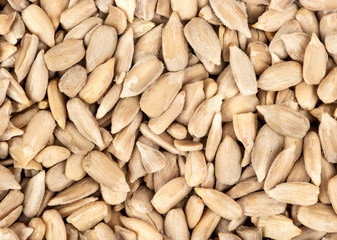 Sunflower seeds without shell