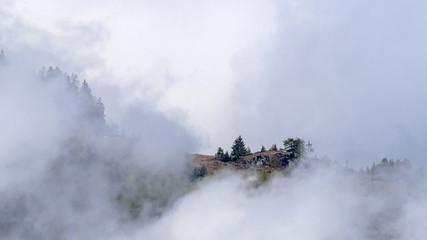 Alto adige day nature outdoor