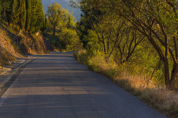 soft focus transport narrow empty curved car road in autumn season park outdoor natural environment with yellow colors in evening time