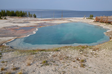WEST THUMB GEYSER BASIN BLACK POOL YELLOWSTONE NATIONAL PARK (WYOMING) USA