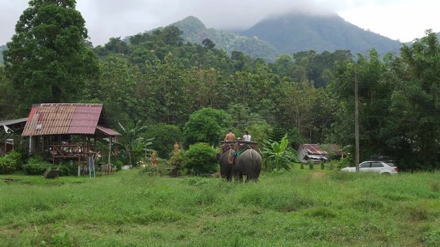 2 caucasian tourist riding on an elephant in the jungle in Thailand