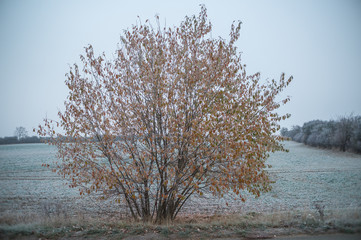 Landschaft im Herbst
