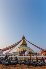 Kathmandu. NEPAL - November, 2017: Bouddhanath Stupa. Nepal. Kathmandu. Doves.