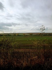 Fototapeta premium Der Weg