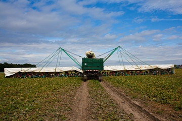 Gurkenflieger