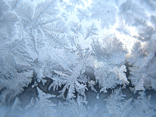 frozen winter window