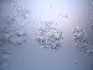 frozen winter window