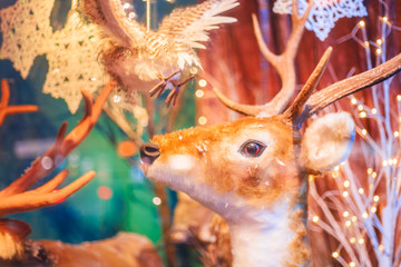 Reindeer Winter Christmas Window Scene