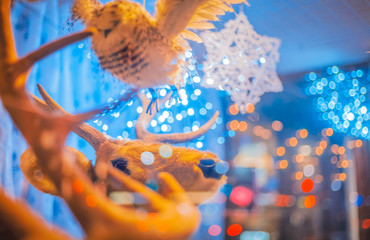 Reindeer and Owl in Holiday Window Display