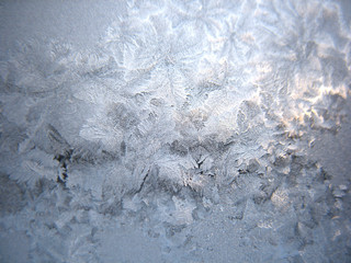 frozen winter window