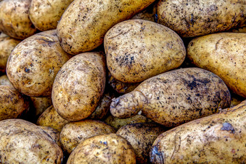 Potatos and Yams in a Farmer's Market