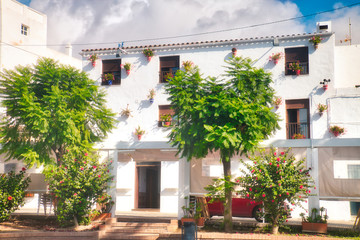 Fototapeta na wymiar Typical Andalusian house facade, full of pots with flowers, in Conil de la Frontera, a beautiful and touristic village in the province of Cadiz, Andalusia, Southern Spain