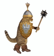 The cat knight in a boots with spurs and a helmet with feathers holds a spiked mace and a shield....