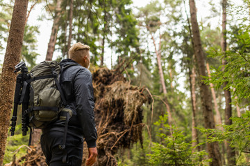 Mann wandert durch traumhaften Wald im Herbst