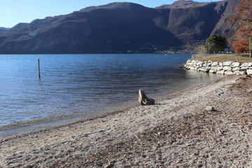Mandello del Lario, Lecco