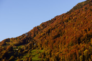Gondola of Weggis - Kaltbad cable car in autumn