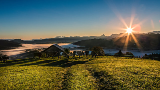 Mit der Sonne erwachen