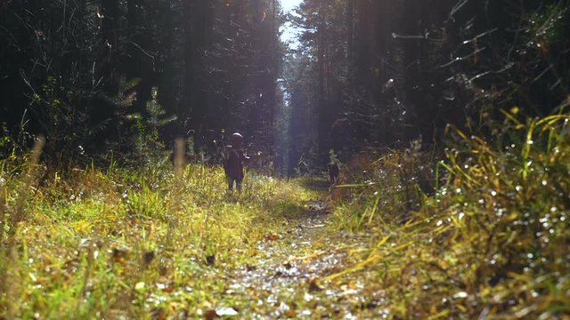 A little girl and dog breed Airedale Terrier run along the sun-drenched path in the autumn coniferous forest.
