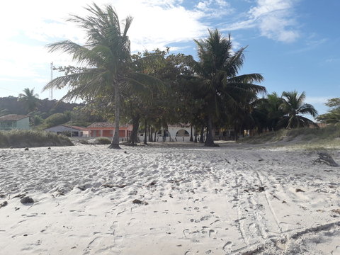 Paisagem 