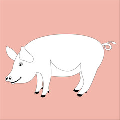 pig  vector illustration , lining draw ,profile