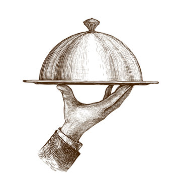 Waiter hand holding cloche serving plate. Vintage sketch vector illustration