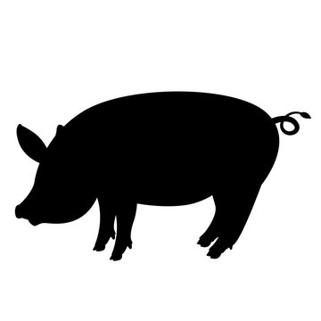 pig  vector illustration , black silhouette ,profile
