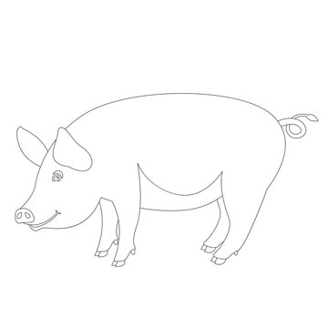 pig  vector illustration , lining draw ,profile 