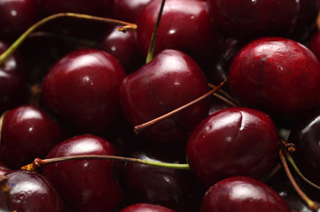 Fresh appetizing cherries 