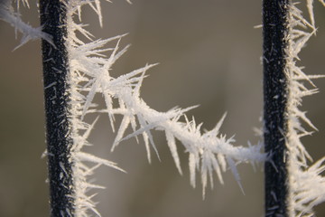 Eiskristalle an einem Gitter aus Draht