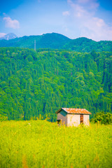 Fototapeta premium Mountain house in Toyama, Japan. Toyama is one of the important cities in Japan for cultures and business markets.