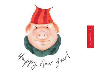 Happy New Year postcard Boy Teen Pig 2019