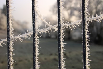 Eiskristalle an einem Gitter aus Draht