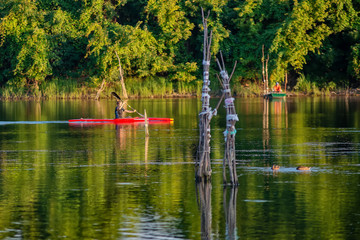 Naklejka premium Novi Sad, Serbia - August 04, 2018: Danube island (Šodroš) near Novi Sad, Serbia. Man in kayak paddling on river.