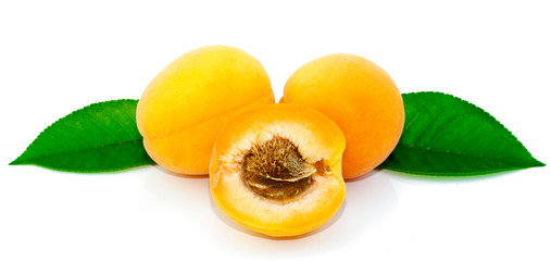 Apricots on a white background