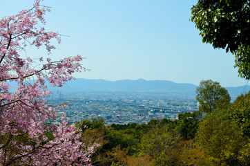 Fototapeta na wymiar Fushimi-Inari, Kyoto, Japon