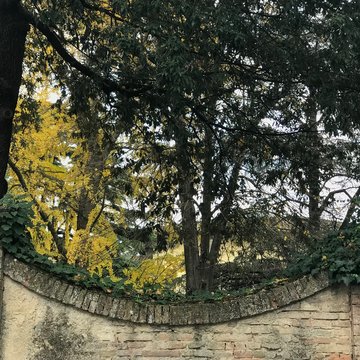 Edifici urbano
