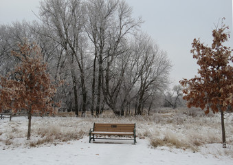Winter Seating