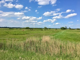 Norddeutsche Landschaft der Wümmeniederung in Bremen
