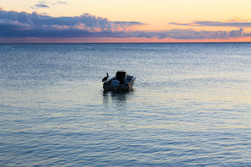 fishing in the sea at sunset