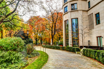 Fall colours in Munich Germany