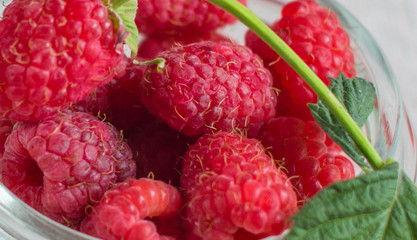Ripe raspberries with green leaf macro. Health breakfast or snack concept.