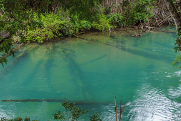 turquoise colored river, nahuel huapi national park, Patagonia, Argentina