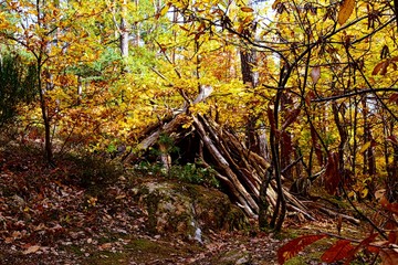 Vue d'une cabane en automne