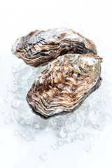 Fresh rock oyster offered as closeup on crushed ice with copy space