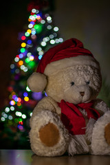 White teddy bear wearing red scarf and cap with nice bokeh lights at the background.Christmas concept.
